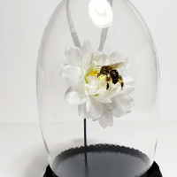 Natuur Historische Decoratie met 18k goud. Honingbij op orchidee